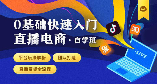 0基础快速入门直播电商课程：直播平台玩法解析-团队打造-带货全流程等环节-灵动共创