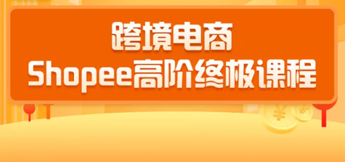 2020跨境电商蓝海新机会-SHOPEE大卖特训营：高阶终极课程（16节课）-灵动共创