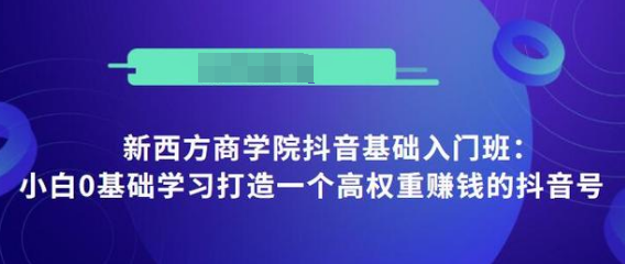 抖音基础入门班：小白0基础学习打造一个高权重赚钱的抖音号-灵动共创