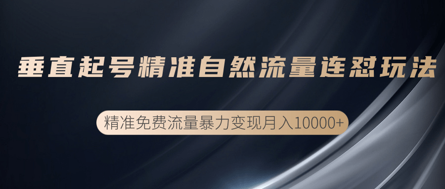 垂直起号精准自然流量连爆玩法，精准引流暴力变现月入10000+-灵动共创