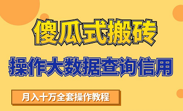 搬砖操作大数据查询信用项目赚钱教程，祝你快速月入6万-灵动共创