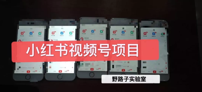 野路子小红书视频号1.0项目，直接上手操作就能赚钱的视频号项目-灵动共创