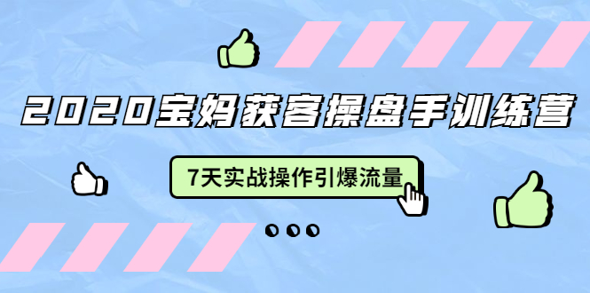 2020宝妈获客操盘手训练营：7天实战操作引爆 母婴、都市、购物宝妈流量-灵动共创