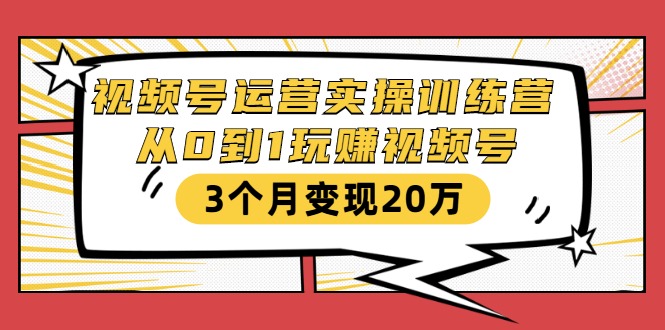 视频号运营实操训练营：从0到1玩赚视频号，3个月变现20万-灵动共创