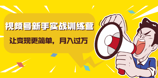 视频号新手实战训练营，让变现更简单，玩赚视频号，轻松月入过万-灵动共创