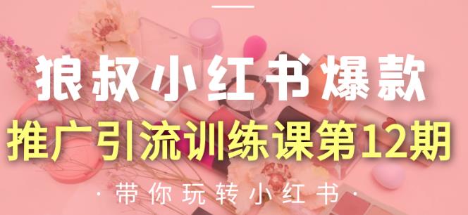 狼叔小红书爆款推广引流训练课第12期，手把手带你玩转小红书-灵动共创