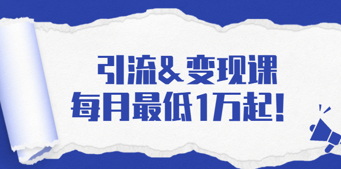 引流&变现课：分享一整套流量方法以及各个渠道收入，每月最低1万起！-灵动共创