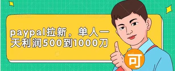 Paypal拉新赚美刀项目，单人一天利润500-1000刀【视频课程】-灵动共创