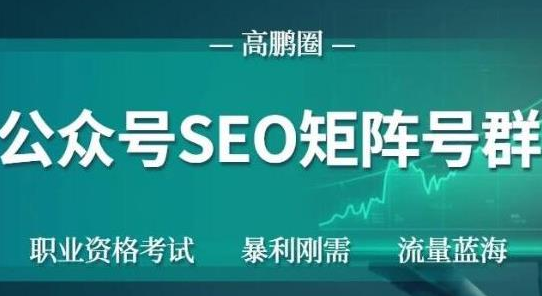 高鹏圈公众号SEO矩阵号群，实操20天纯收益25000+，普通人都能做-灵动共创