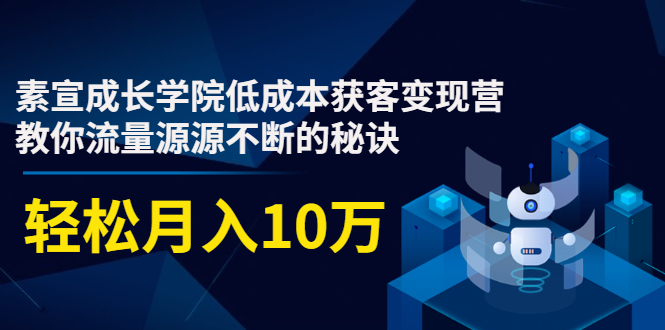 素宣成长学院低成本获客变现营，教你流量源源不断的秘诀，轻松月入10万-灵动共创