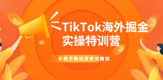 TikTok海外掘金实操特训营：手把手教运营变现赚钱-灵动共创