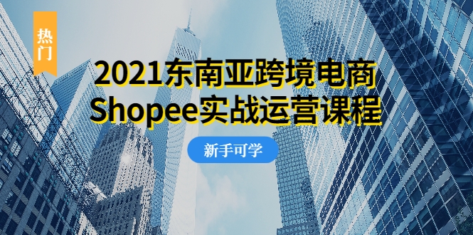 2021东南亚跨境电商Shopee实战运营课程，0基础、0经验、0投资的副业项目-灵动共创