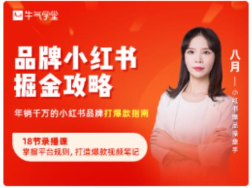 品牌小红书掘金攻略，年销千万的小红书品牌打爆款指南-灵动共创