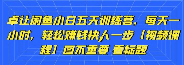 卓让闲鱼小白五天训练营，每天一小时，轻松赚钱快人一步-灵动共创