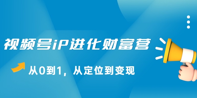 视频号iP进化财富营，从0到1，从定位到变现赚钱（价值1577元）-灵动共创