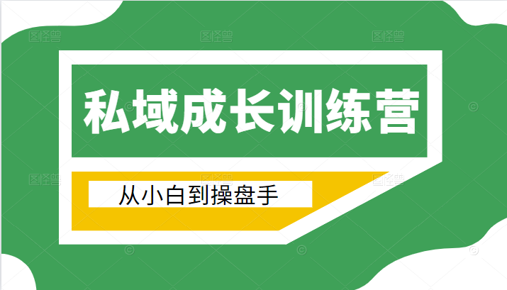 电商私域成长训练营，从小白到操盘手（价值999元）-灵动共创