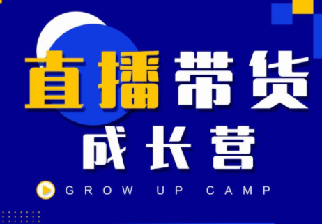 抖商公社直播带货成长营，教你快速通过直播带货变现，抢占直播电商的流量红利-灵动共创