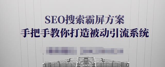 SEO搜索霸屏方案，手把手教你打造被动引流系统【视频课程】-灵动共创