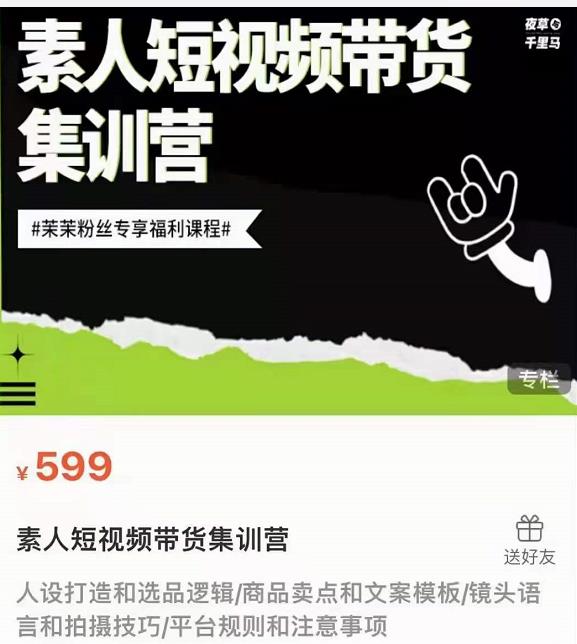 夜草与千里马素人短视频带货集训营，薛辉团队价值599-灵动共创