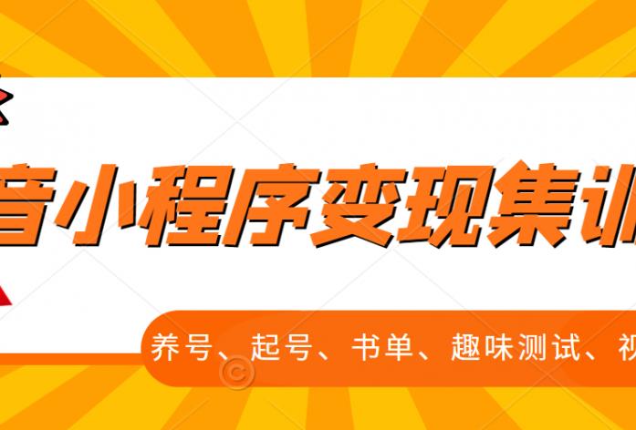 抖音小程序变现集训课，养号、起号、书单、趣味测试、视频剪辑，全套流程-灵动共创