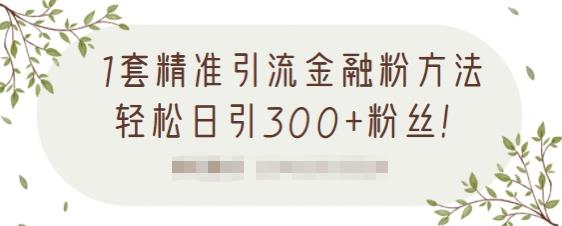 1套精准引流金融粉方法，轻松日引300+粉丝-灵动共创