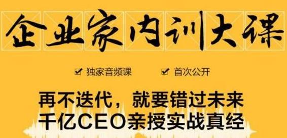 企业家内训大课，未来企业必学经验，价值1299元-灵动共创