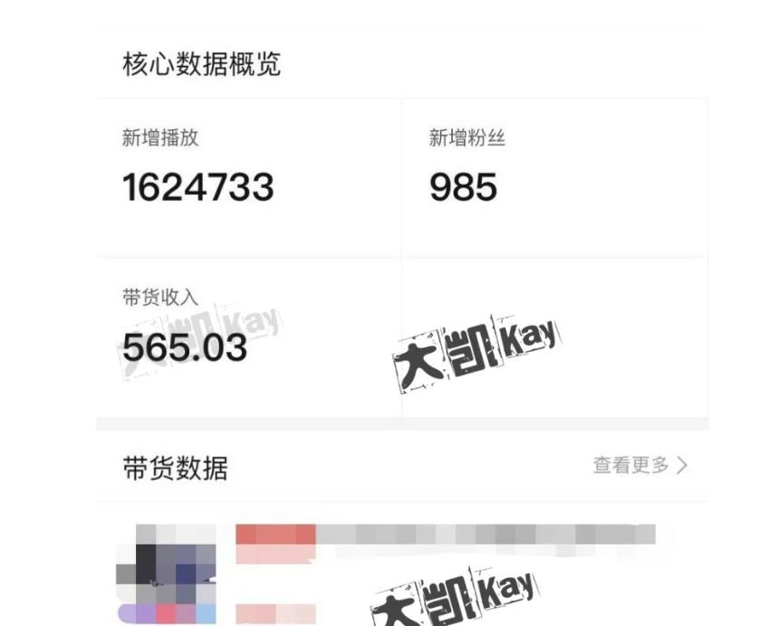 大凯进阶圈新玩法之拼多多视频玩法，利润大概一个号一天能有500~1500的左右!-灵动共创