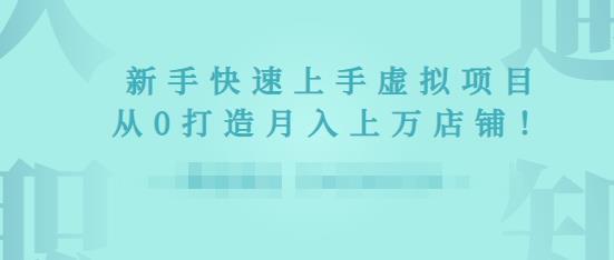 2022年虚拟项目实战指南，新手从0打造月入上万店铺-灵动共创