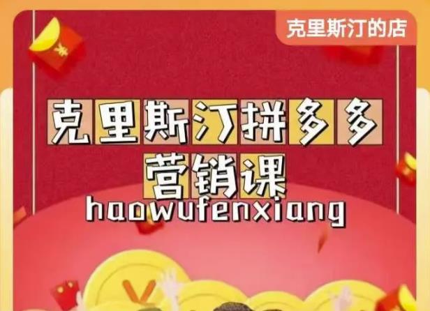 克里斯汀拼多多运营课，适合小白初涉平台，低成本入门-灵动共创