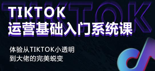 Tiktok实操进阶课程，体验从tiktok小透明到大佬的完美蜕变-灵动共创