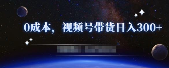 零基础视频号带货赚钱项目，0成本0门槛轻松日入300+【视频教程】-灵动共创