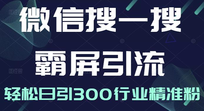 微信搜一搜霸屏引流课，打造被动精准引流系统，轻松日引300行业精准粉-灵动共创
