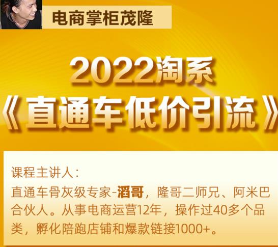 茂隆2022直通车低价引流玩法，教大家如何低投入高回报的直通车玩法-灵动共创