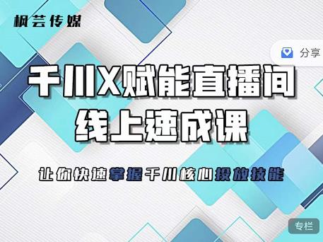 枫芸传媒-线上千川提升课，提升千川认知，提升千川投放效果-灵动共创