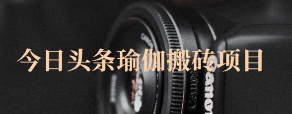 猎人社区·今日头条瑜伽搬砖项目，单号一天几十收入，可以批量操作！-灵动共创