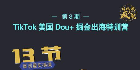 TikTok美国Dou+掘金出海特训营，美国dou+成功投放95%-灵动共创