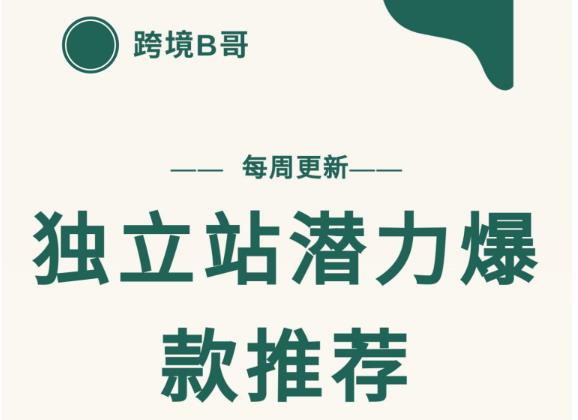【跨境B哥】独立站潜力爆款选品推荐，测款出单率高达百分之80-灵动共创