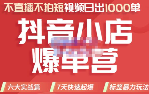 推易电商·2022年抖音小店爆单营，不直播、不拍短视频、日出1000单，暴力玩法-灵动共创