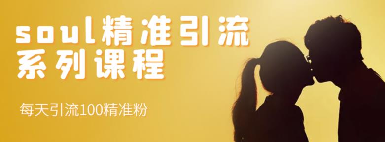 soul精准引流系列课程，每天引流100精准粉-灵动共创
