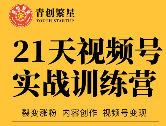 张萌21天视频号实战训练营，裂变涨粉、内容创作、视频号变现 价值298元-灵动共创