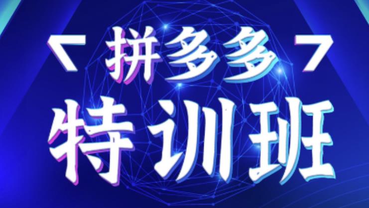星雪教育·拼多多基础班+进阶班+突破班，用系统的学习模式快速改变现状价值3580元-灵动共创