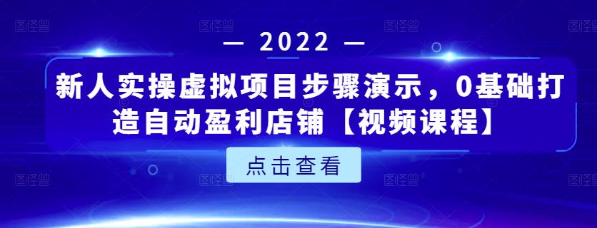 新人实操虚拟项目步骤演示，0基础打造自动盈利店铺【视频课程】-灵动共创