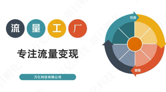 收费3980的流量工厂回粉项目，号称1个粉10元【详细玩法教程解析】-灵动共创
