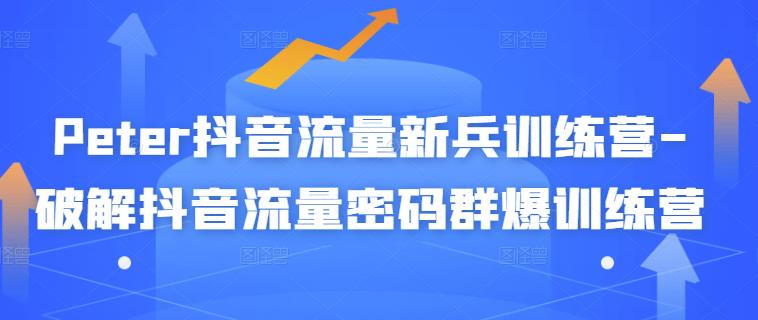 Peter抖音流量新兵训练营-破解抖音流量密码群爆训练营（新兵）-灵动共创