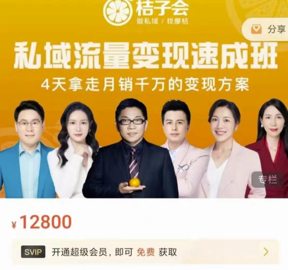桔子会·私域流量变现速成班，4天拿走月销千万的变现方案 价值12800元-灵动共创