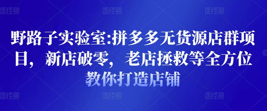 野路子实验室:拼多多无货源店群项目，新店破零，老店拯救等全方位教你打造店铺-灵动共创