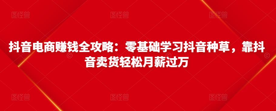 抖音电商赚钱全攻略：零基础学习抖音种草，靠抖音卖货轻松月薪过万-灵动共创