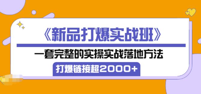凌童《新品打爆实战班》,一套完整的实操实战落地方法，打爆链接超2000+（28节课)-灵动共创
