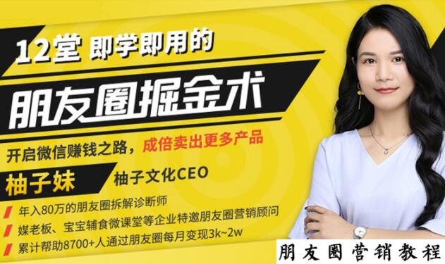 【营销必学】12堂学之即用的朋友圈掘金术：开启你的副业赚钱之路-灵动共创