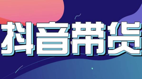 抖音直播带货入门必学教程，教快速上手抖音直播带货-灵动共创